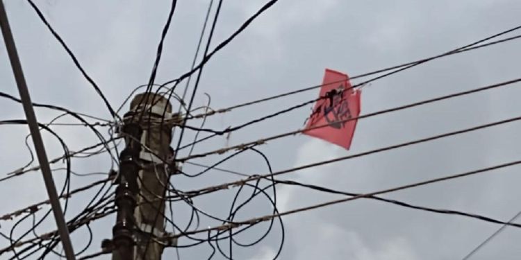 Equatorial Piauí registra aumento de 34% no número de casos