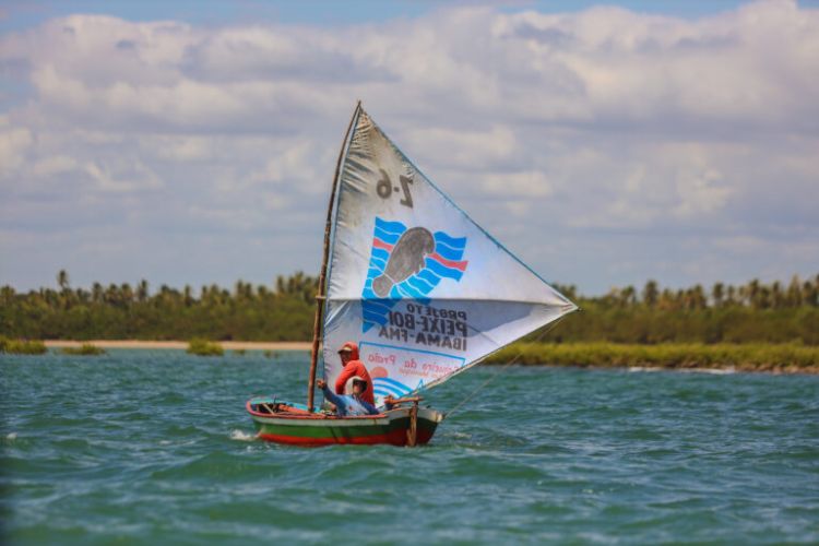 Considerado o menor litoral do Brasil, a área é formada por quatro municípios: Ilha Grande, Parnaíba, Luís Correia e Cajueiro da Praia. 