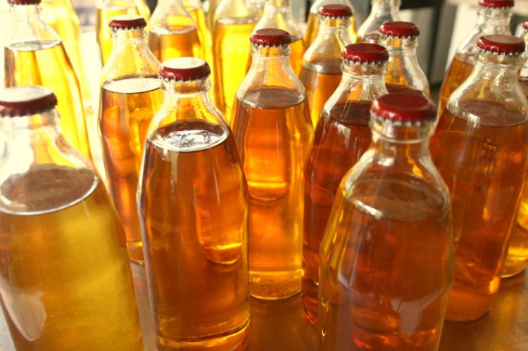 Na quinta-feira (24), tem início o Festival da Cajuína e Bebidas Regionais do Piauí.