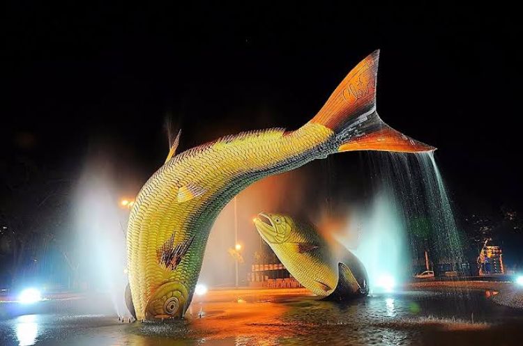 Piraputangas –  peixes símbolos da região