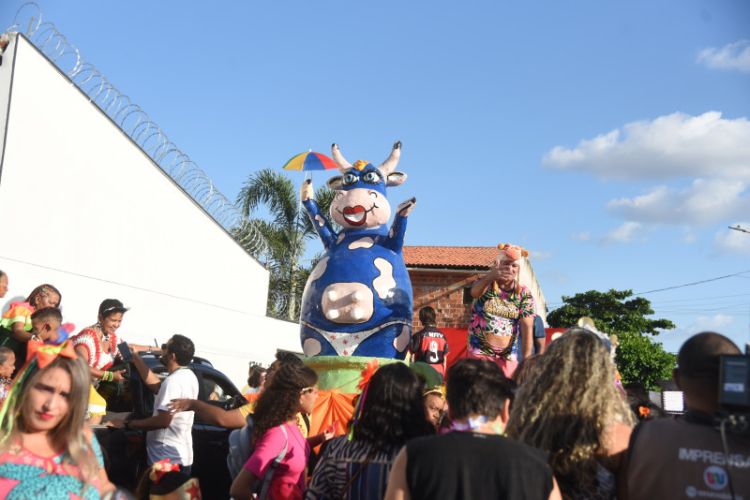 Bloco mantém viva a tradição do carnaval de rua em Teresina