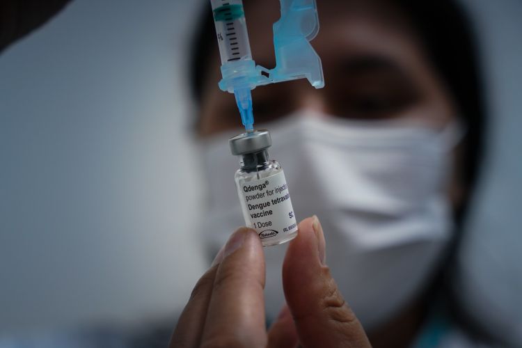 Vacina contra a dengue está sendo destinada a crianças e adolescentes entre 10 e 14 anos