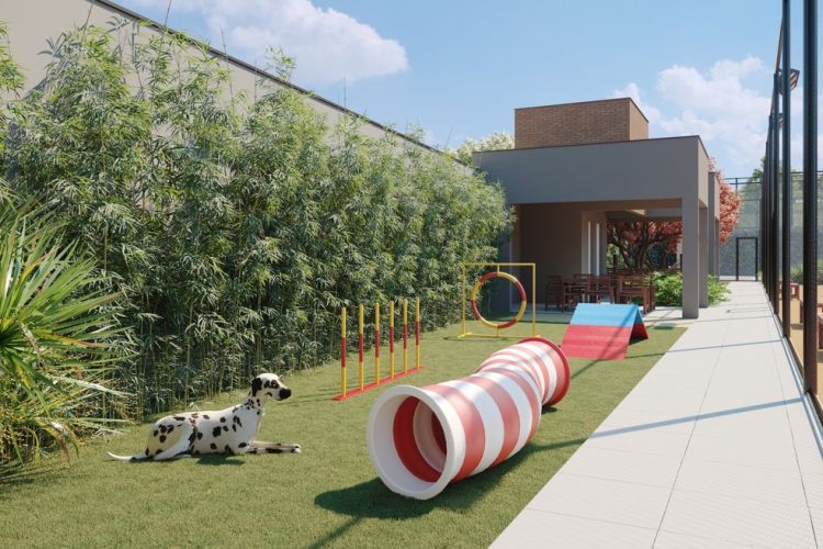 Negócio para pets: moda no país