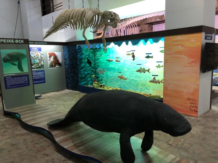 De 11 a 14 de dezembro, o Museu do Mar, no Porto das Barcas, em Parnaíba, será palco de encontros emocionantes e transformadores