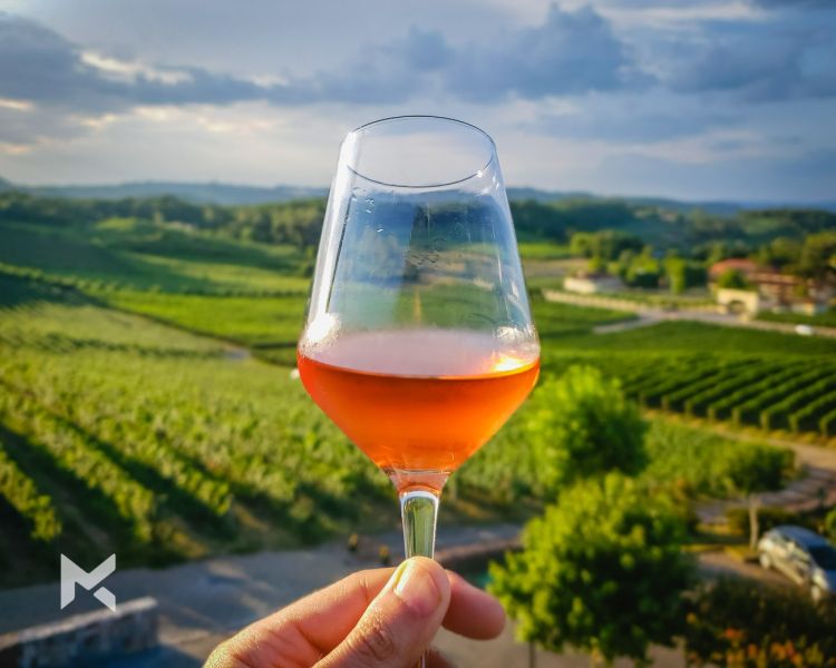 Neste ano, além da programação das vinícolas e de hotéis, no dia 22 de fevereiro será a vez do Festival Vinália