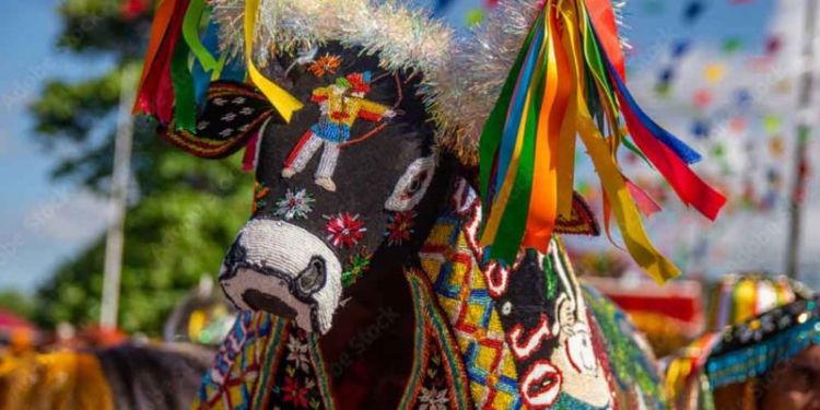 Além de ser uma fonte prática de informação, a agenda também é uma oportunidade para artistas e produtores culturais 