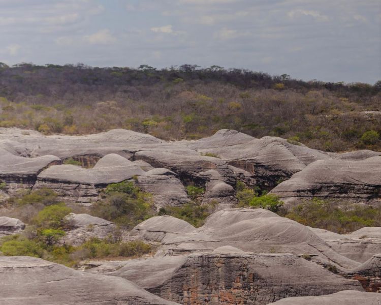 O nome "Serra das Confusões" foi atribuído ao parque pelos antigos moradores da região,