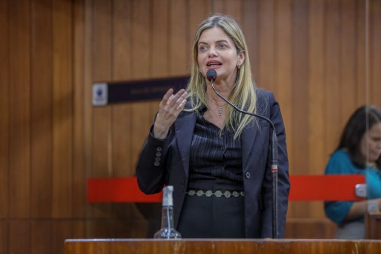 Deputada Estadual Gracinha Mão Santa: Emendas Parlamentares de apoio ao carnaval no litoral