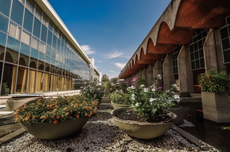 Para as comemorações dos 40 anos do Palácio Petrônio Portella e dos 190 anos da Alepi, a Casa está organizando uma exposição