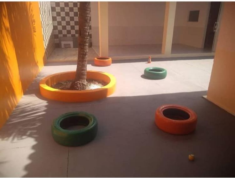 Os pneus coloridos se tornam um atrativo nos espaços para diversão e educação dos pets
