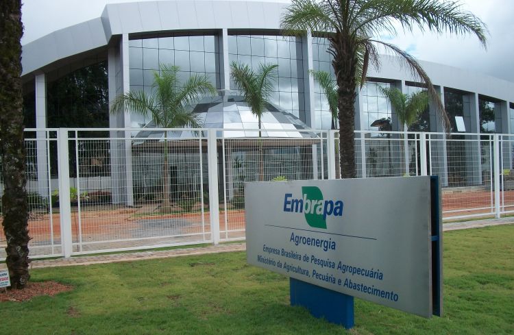 Vagas para Estágios - Embrapa Piauí