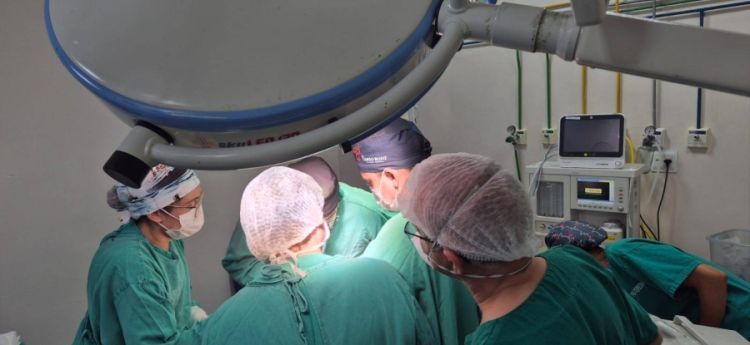 Entenda como funciona a doação no HUT