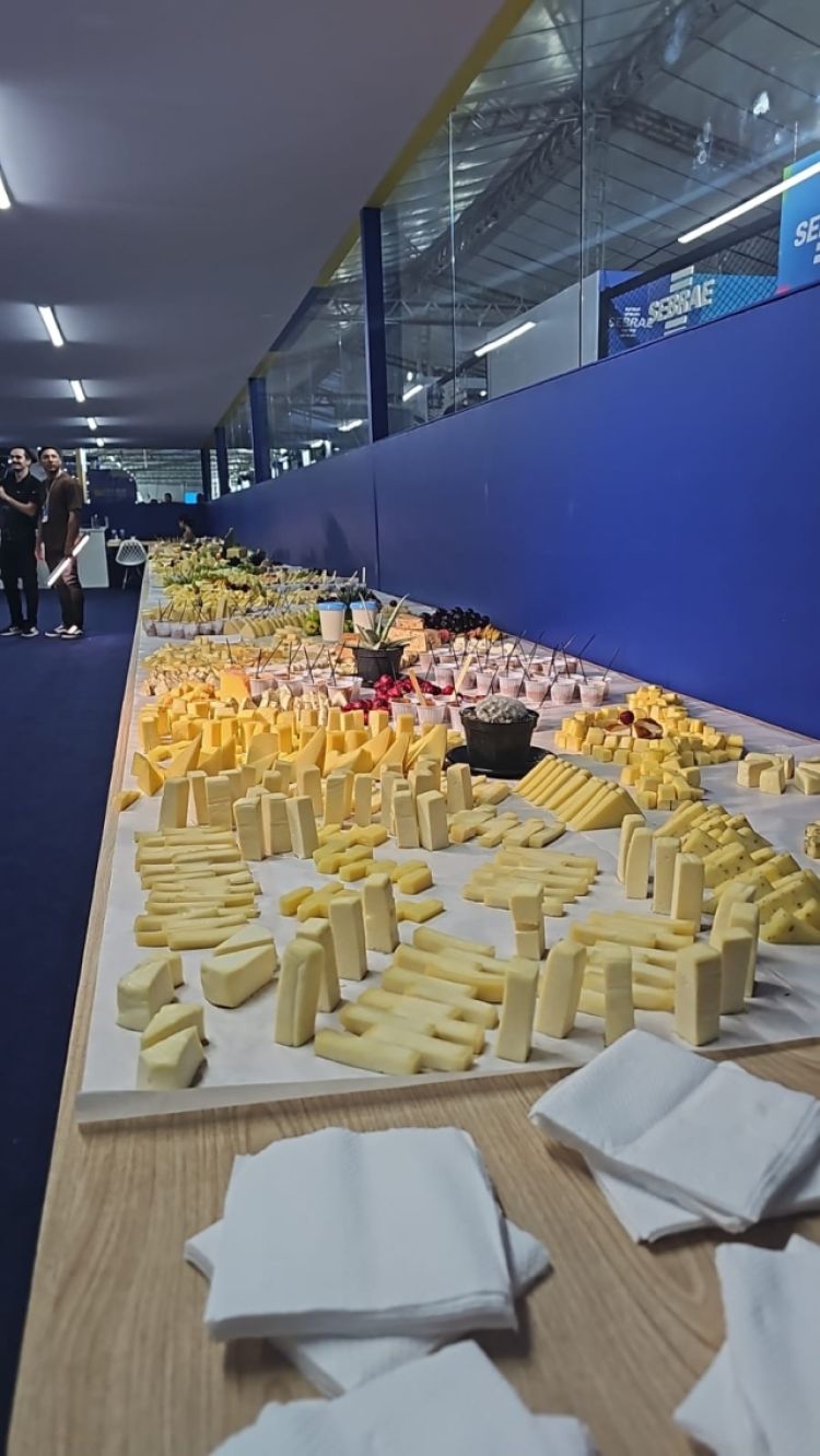 O Sebrae também orienta os produtores na agroindustrialização e na produção de queijos e bebidas lácteas