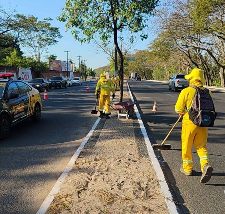  Vox Ambiental: limpeza pública da capital