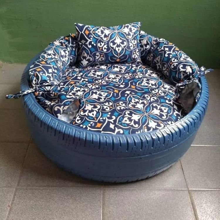 Informações com Caminhas Pets Cães e Gatos: 86 99466 6302 (whatsapp) em Teresina