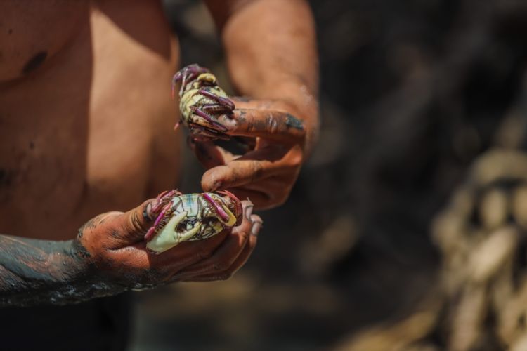 No evento: apresentações, feira gastronômica com pratos de mariscos e frutos do mar, competições 
