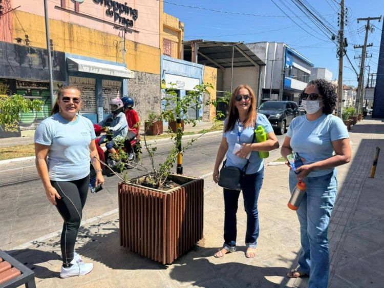 PMT: urgência para manutenção de jarros, plantas, praças, podas de árvores, no centro de Teresina e bairros
