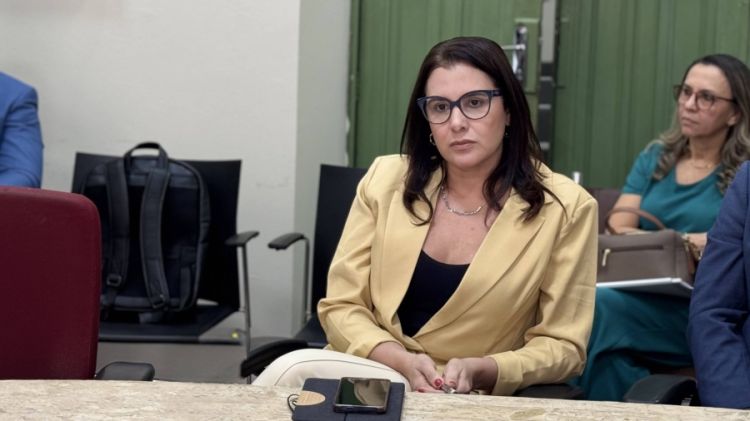 Noemi Rocha, secretária executiva da Secretaria Municipal de Finanças, na reunião