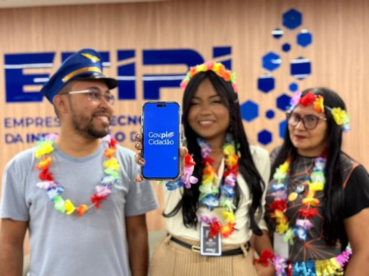Uso dos serviços digitais disponíveis no aplicativo Gov.pi Cidadão