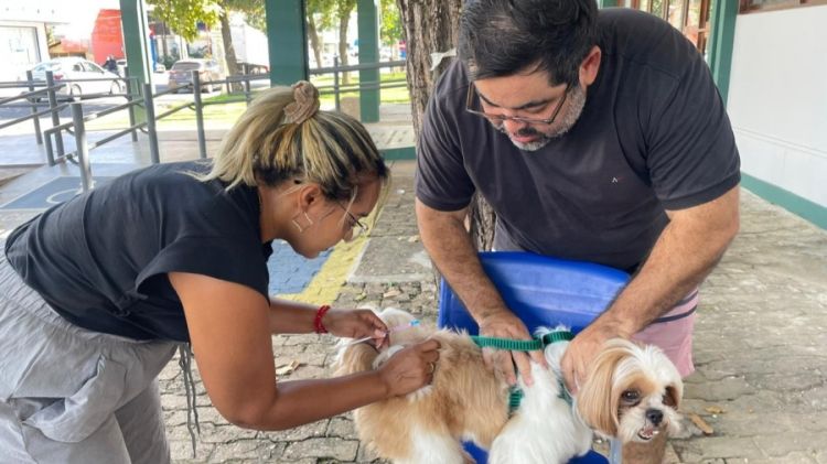 RAIVA ANIMAL: transmissão ocorre por mordidas, arranhões ou lambidas