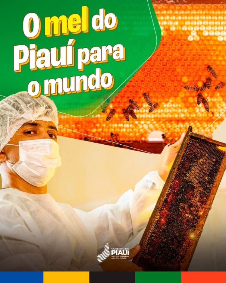 2025: R$ 120 milhões em exportações 