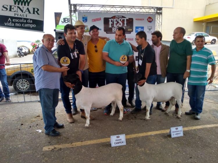 Picos Fest Berro inicia na segunda (30) neste maio