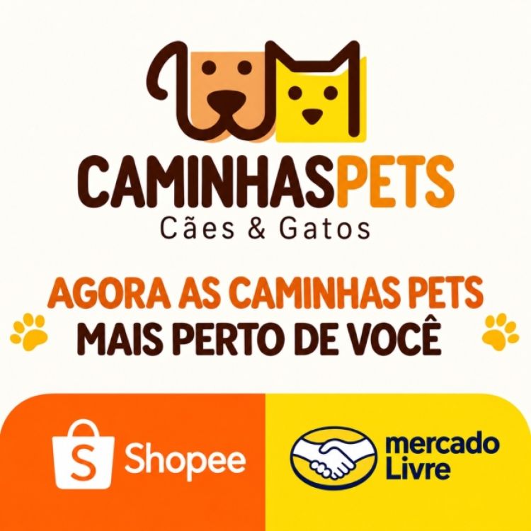 Publicidade 