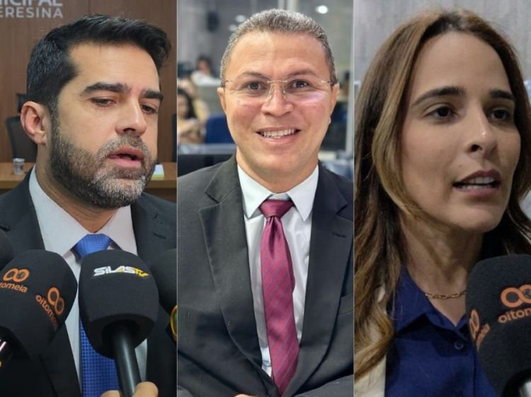 Bruno Vilarinho,  Gustavo de Carvalho,  Elzuila Calisto,  cogitados para presidência 