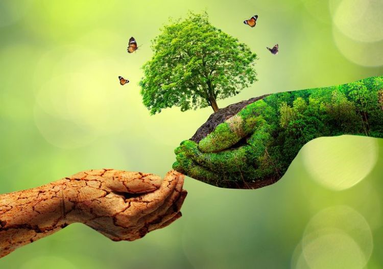 Para encerrar a solenidade será assinado o decreto estadual que regulamenta a nova estrutura organizacional da Semar