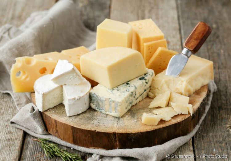 Queijos: um produto que é encontrado para degustação, exposição e venda no evento