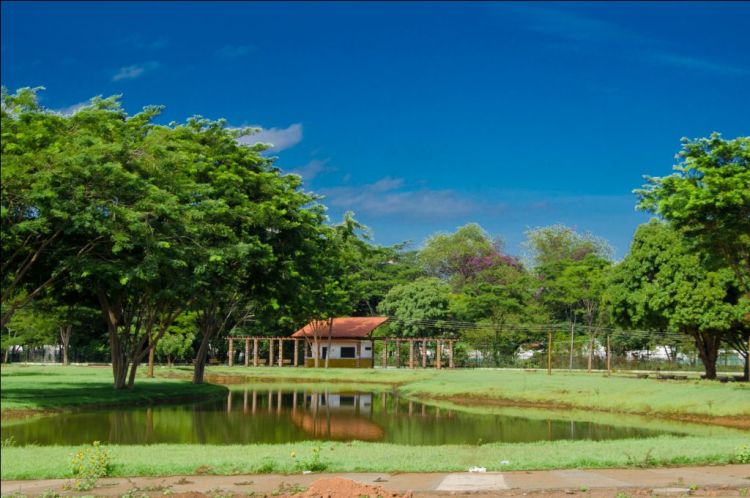 Espaço Love Pet, com Feirinha de Pets: proposta desse evento dia primeiro de maio Espaço Love Pet, com Feirinha de Pets: proposta desse evento dia primeiro de maio